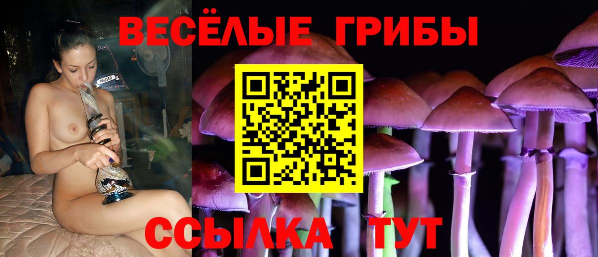 Галлюциногенные грибы мухоморы Сатка