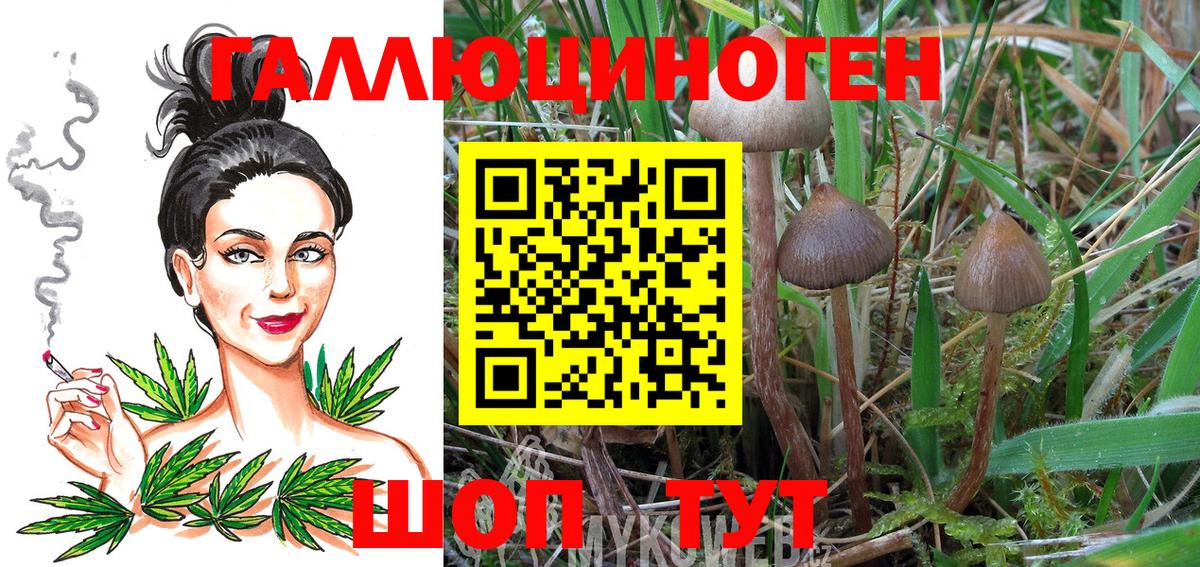 Галлюциногенные грибы Psilocybe  Вход с VPN  Сатка 