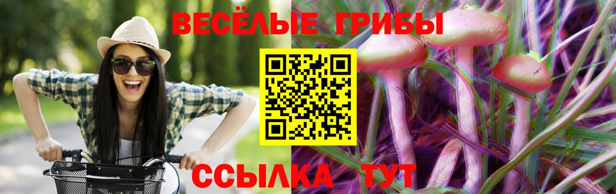 Псилоцибиновые грибы MAGIC MUSHROOMS  Сатка 